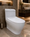 Smart One Piece Toilet (Art.No F-200)::ID:: STOT200