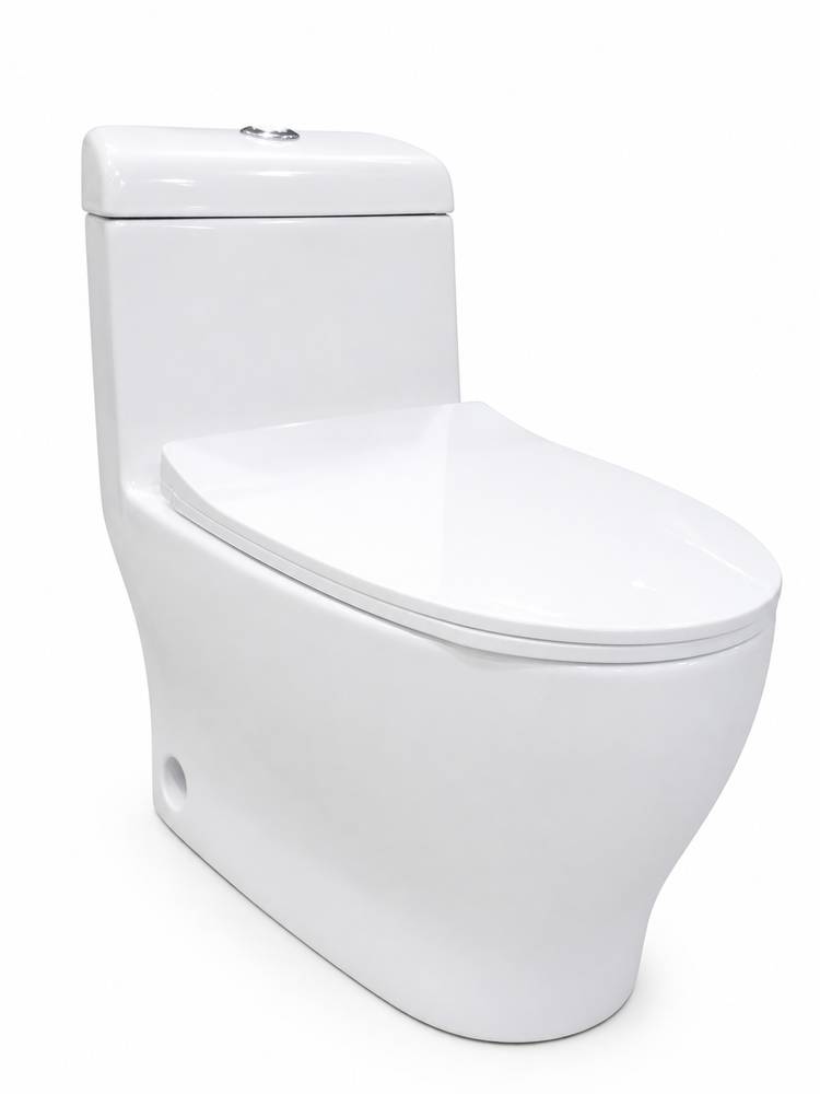 Smart One Piece Toilet (Art.No F-200)::ID:: STOT200