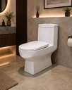 Smart One Piece Toilet 300 mm drain w/ Seat Cover ::ID:: STOT213