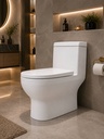 Smart One Piece Toilet with Seat Cover ::ID:: STOT150