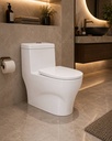 Smart One Piece Toilet with Seat Cover ::ID:: STOT202