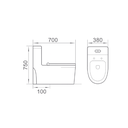 ZILVER ONE PIECE TOILET  (ZTOT140MB)