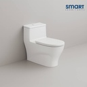 Smart One-Piece Toilet (STOT202)
