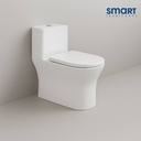 Smart One-Piece Toilet  (STOT204)