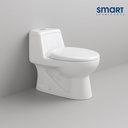 Smart One-Piece Toilet, Dual-Flush (STOT205)