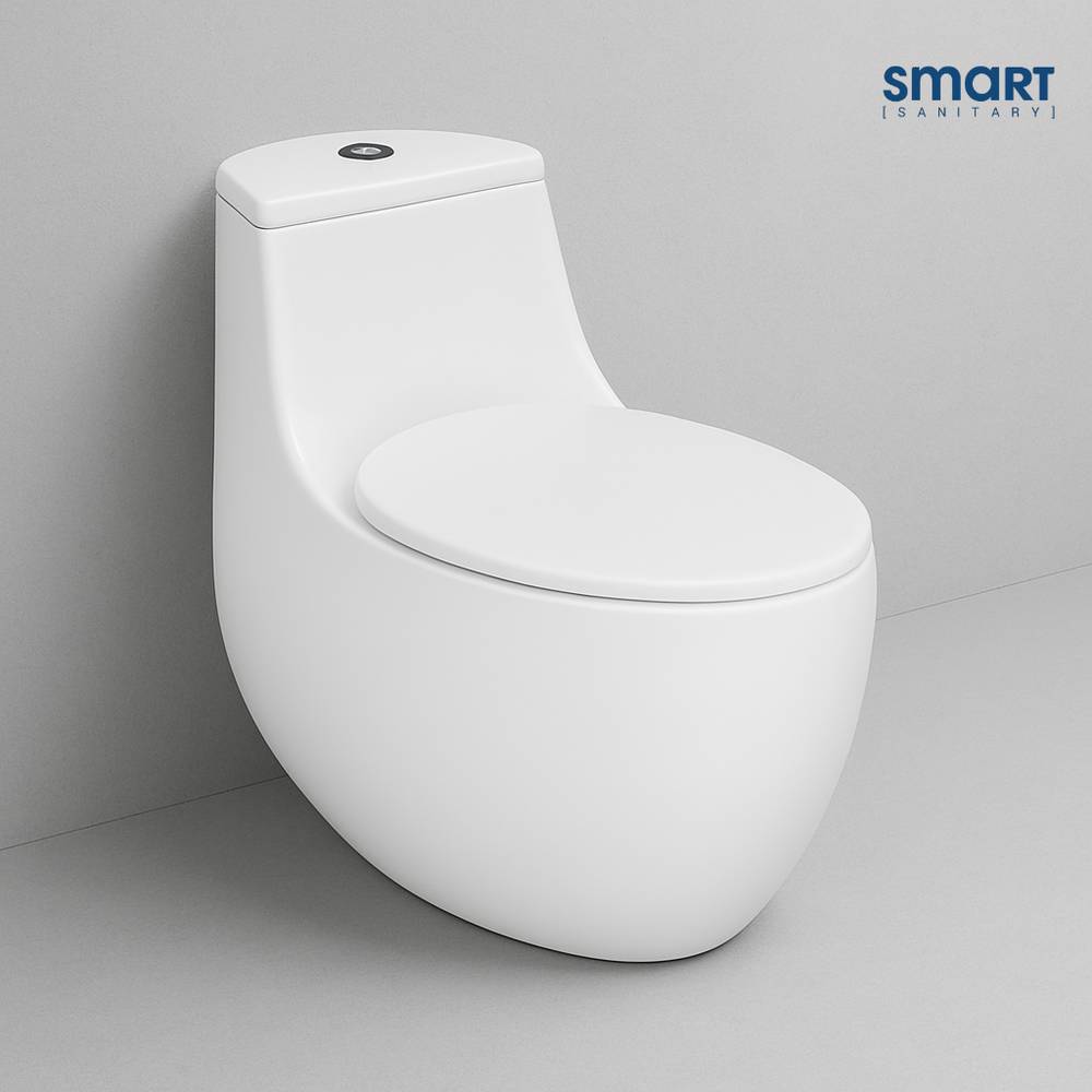 Smart One-Piece Toilet, Dual-Flush (STOT206)