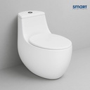 Smart One-Piece Toilet, Dual-Flush (STOT206)