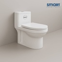 Smart One-Piece Toilet, Hydraulic Soft-Close Seat (STOT212)