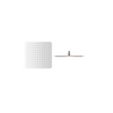 ZILVER RAINSHOWER BRASS ROUND 200X8MM 8" ::ID:: ROA0802