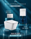 ZILVER Pre-Autumn Deal 3(wallhung toilet with concealed flush tank)